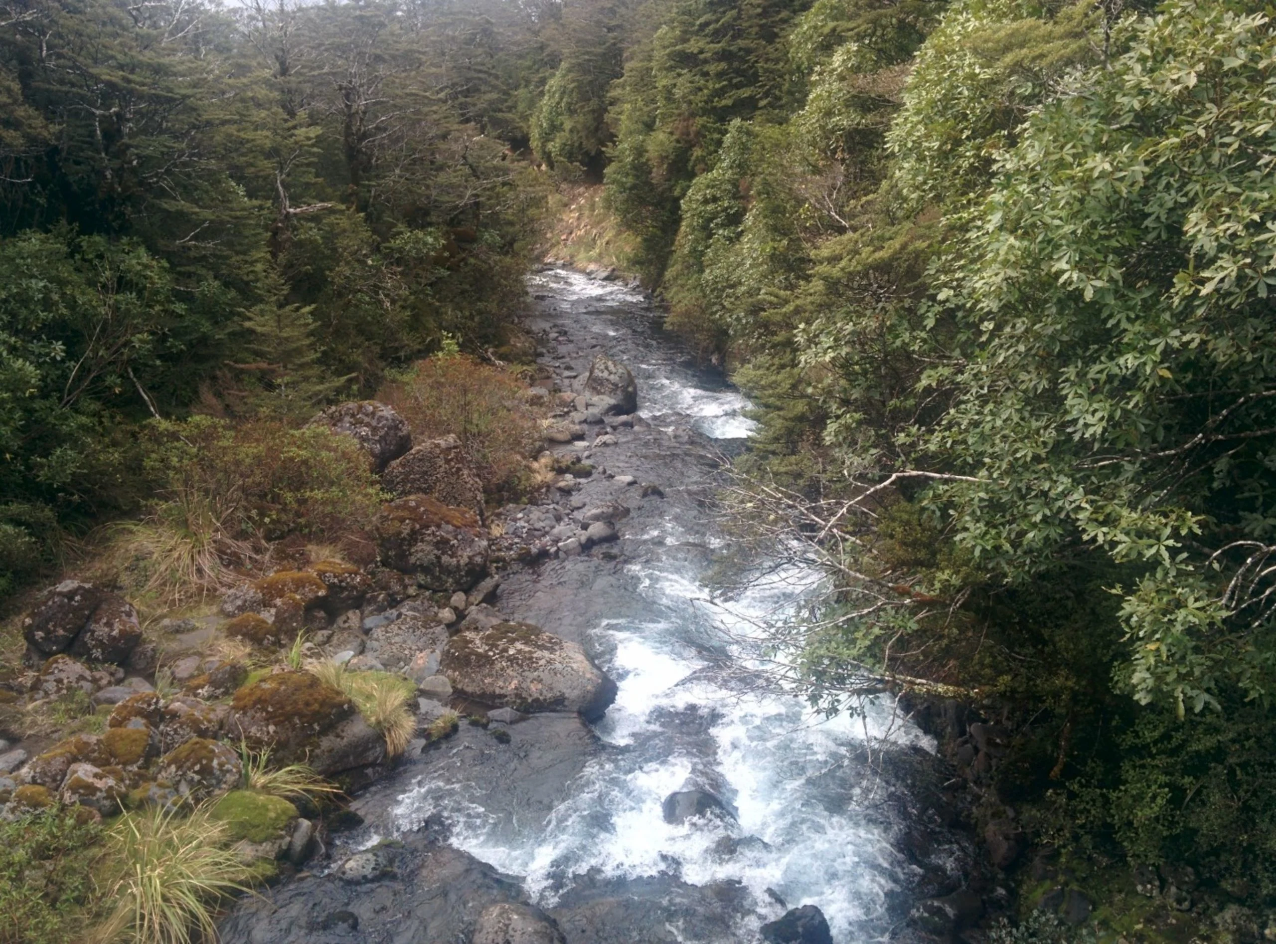 Tongario National Park