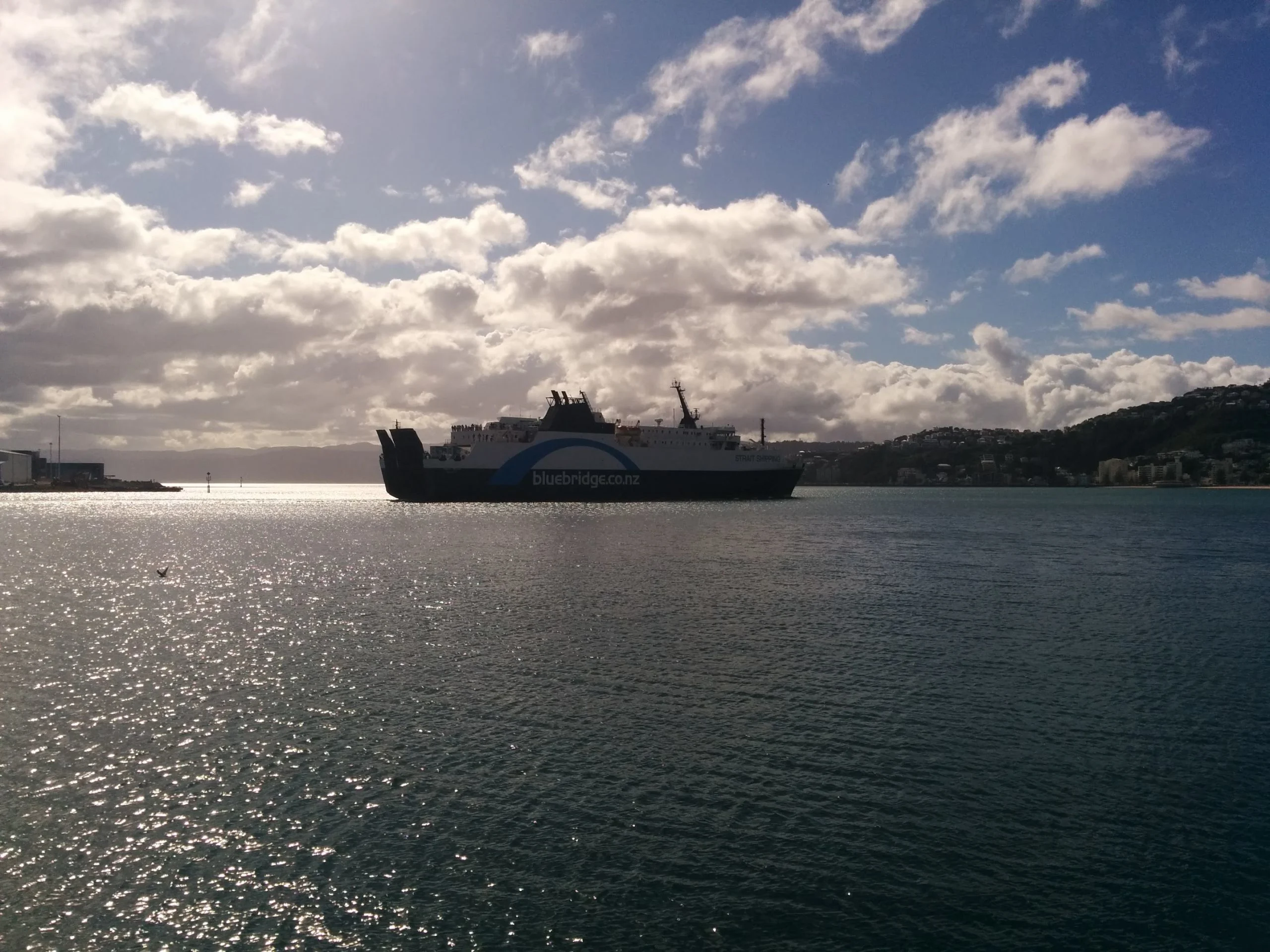 Windy Welly