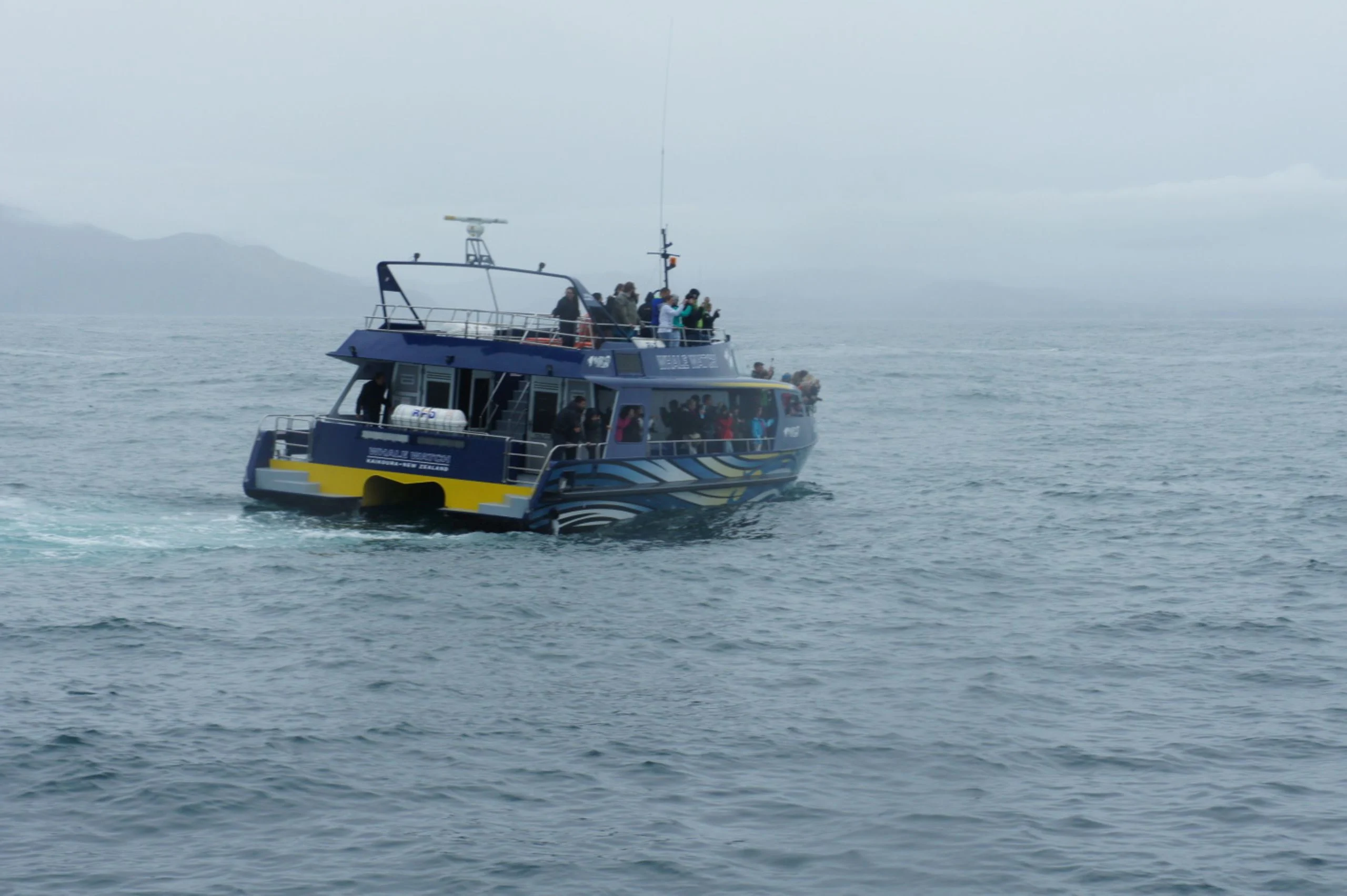 Kaikoura, dag twee