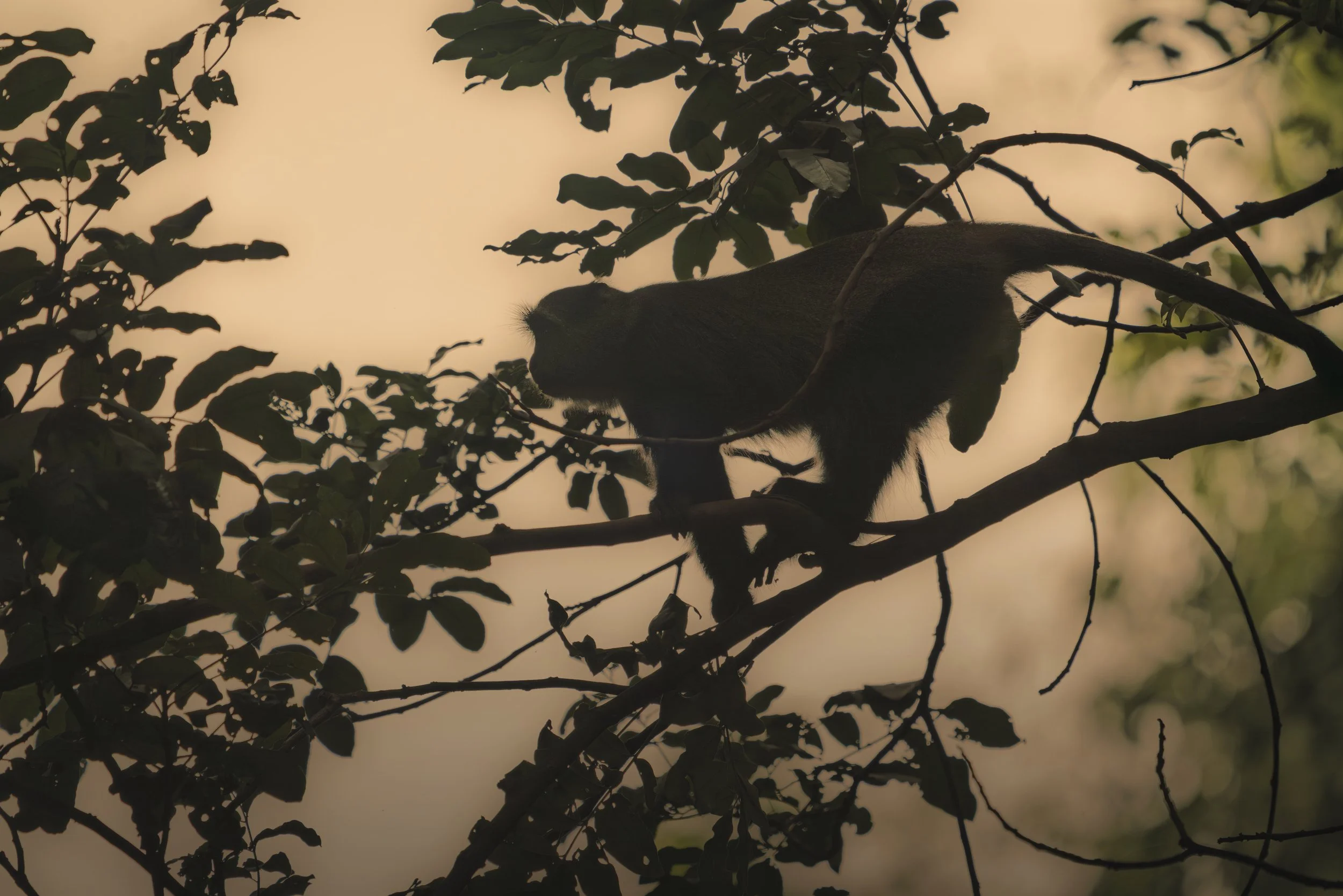 Lake Manyara